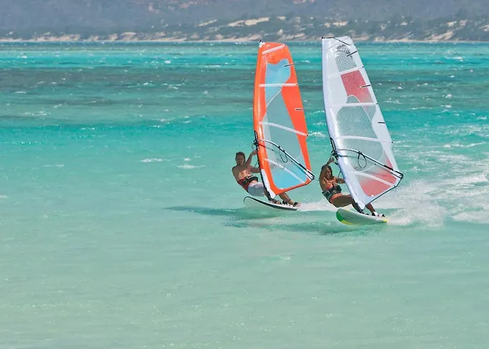 Apartament Les Oliviers - &