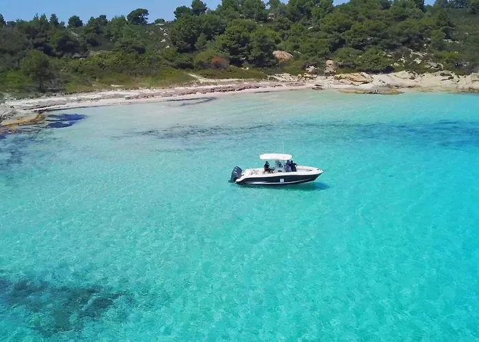 Apartament Les Oliviers - &