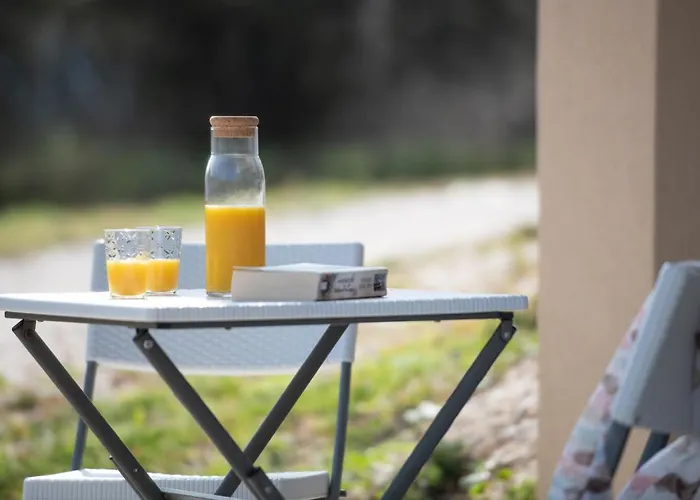 Apartament Les Oliviers - &