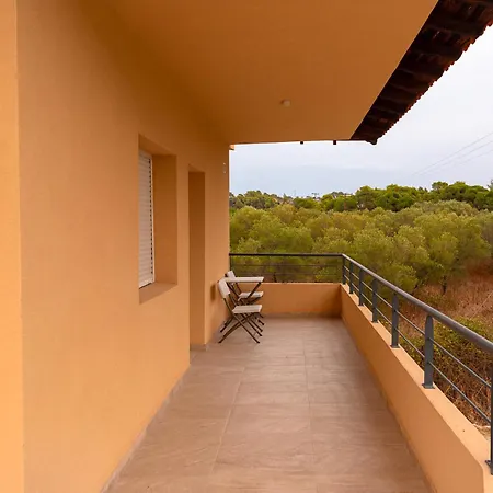 Apartman Les Oliviers - &