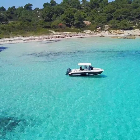 شقة Les Oliviers - &